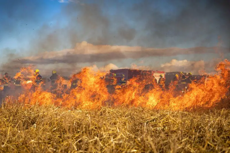 France and Spain Wildfires Threaten Bordeaux and Madrid as Another Heatwave Approaches