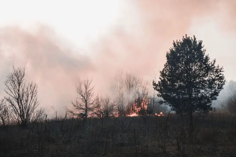 France Wildfire: Heatwave Near Bordeaux Threatens Mega-Fire as 220,000 Evacuated