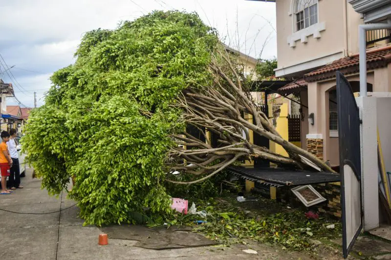 Typhoon Dujuan Japan: Evacuations, Landslide Warnings, Flight Cancellations and Heavy Rain Near Tokyo