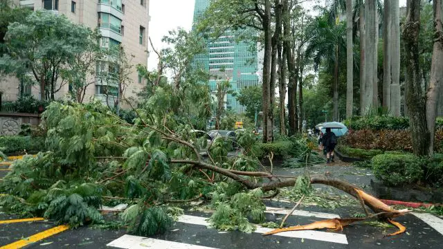 Typhoon Kalmaegi Devastates Vietnam and the Philippines