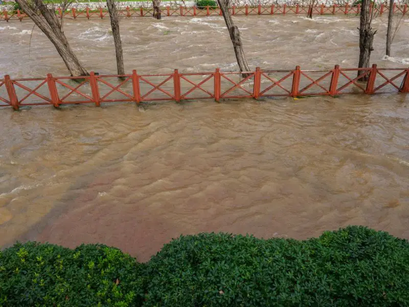 Deadly Floods Devastate Istanbul: Three Killed, Thousands Rescued as Torrential Rain Submerges Roads and Homes
