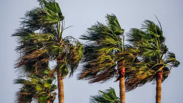 Cyclone Fina threatens Australia