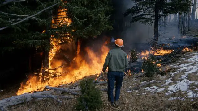 Deadly Wildfires Sweep Central and Southern Chile