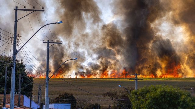 Wildfires Close In on Bordeaux as Spain Battles New Blazes