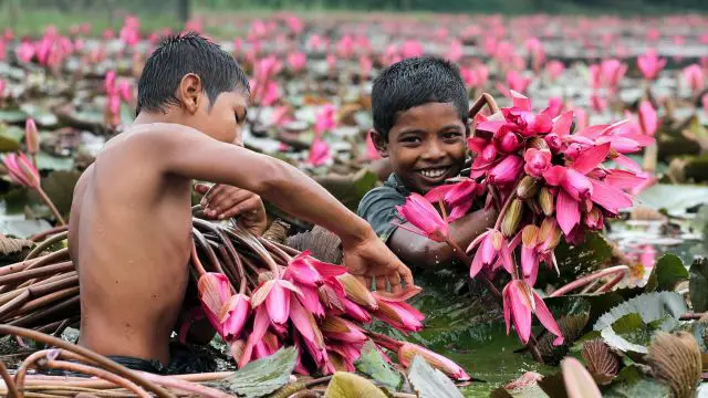 Record Heatwave Sweeps South Asia