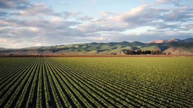 Coastal El Niño Brings Heavy Rain Threat to Peru’s Agricultural Heartland