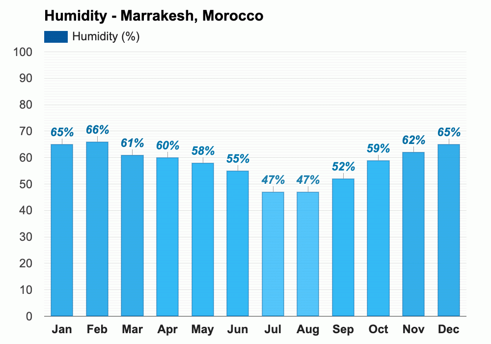 February weather Winter 2024 Marrakesh, Morocco