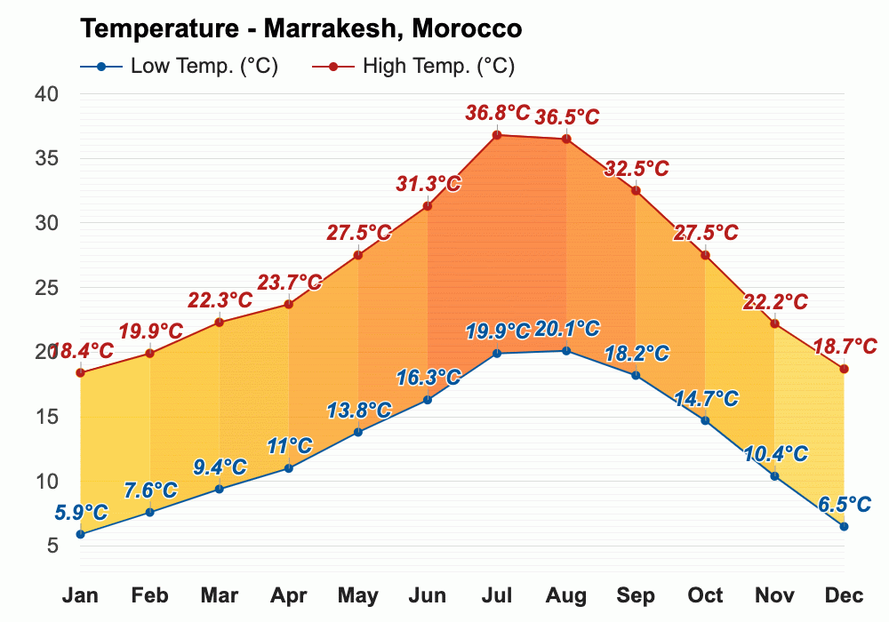 February weather Winter 2024 Marrakesh, Morocco