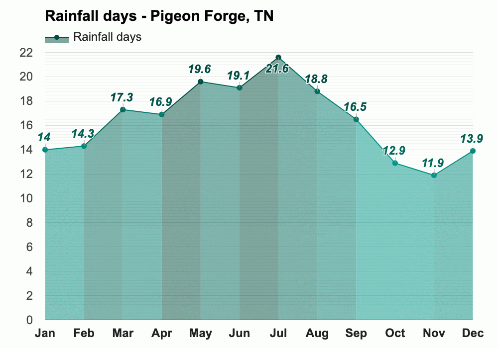January weather Winter 2024 Pigeon TN