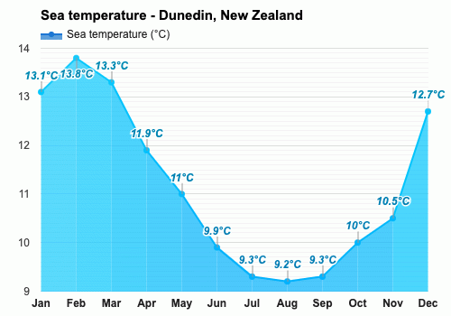 temperature in dunedin new zealand in january